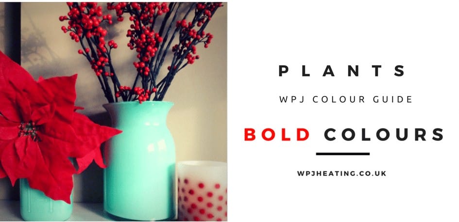 decorating with red