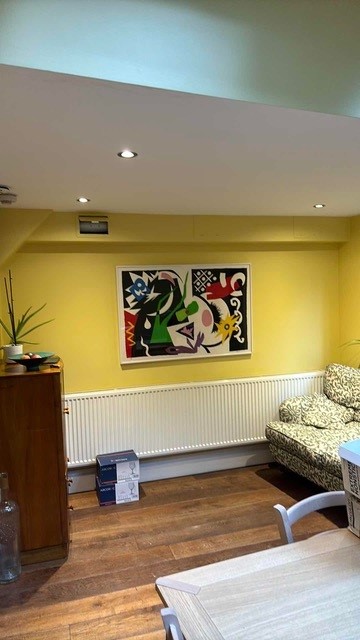 tricky flu installation concealed, hidden or boxed-in flue london home